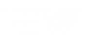 Transparante website